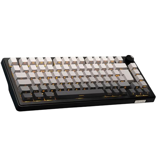 The G-Lab KEYZ Elite 300 GRG - Clavier Gamer sans Fil TKL Tri Mode 2.4