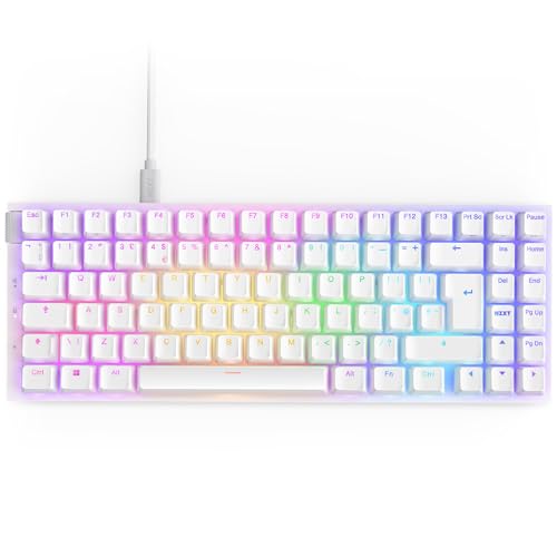 NZXT Function 2 MiniTKL noir QWERTY