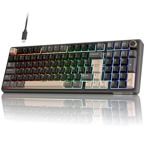 RK ROYAL KLUDGE R98 Pro Clavier Mécanique Filaire, Clavier Gamer 96% A