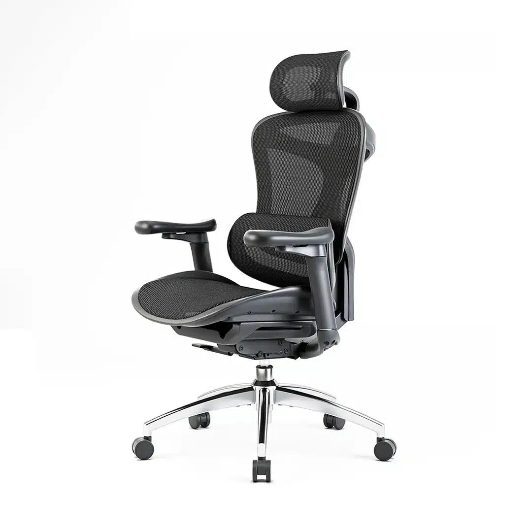Fauteuil de bureau ergonomique en maille SIHOO Doro C300 noir
